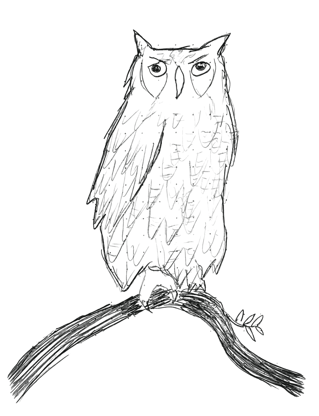 Graphite doodle of a front-facing horned owl perched on a bent branch.
