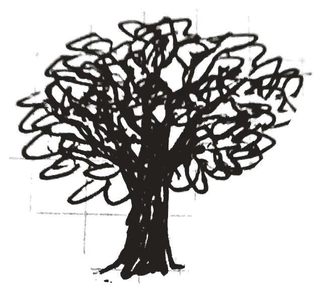 Notebook drawing: broad ink tree with a dense branching crown.