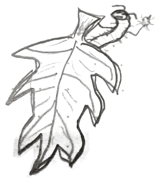 Notebook drawing: lobed leaf with a cheerful curled worm.
