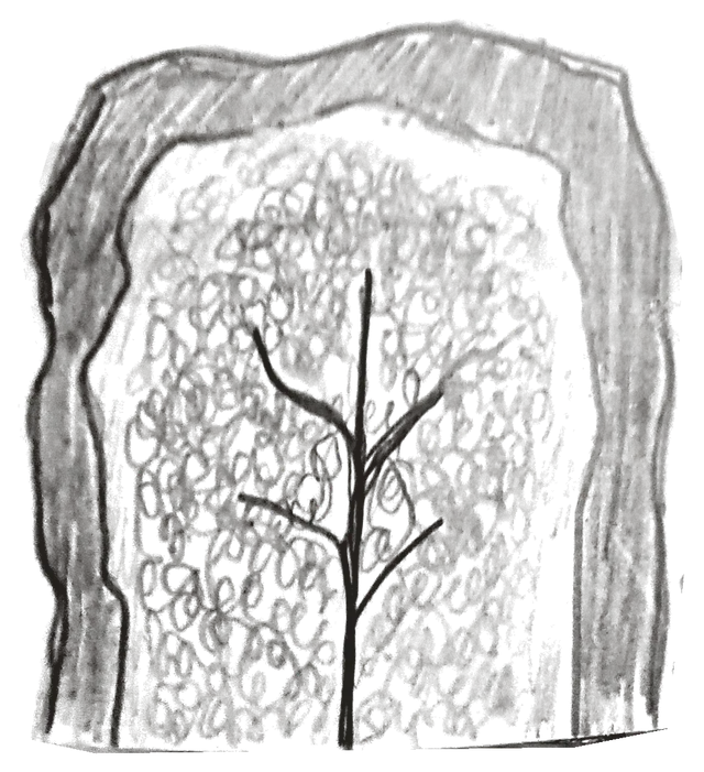 Notebook drawing: tree inside a shaded organic arch.